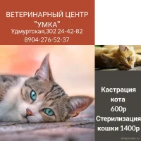 Ветеринарная клиника Умка на Удмуртской улице Фото 2 на проекте Izhevsk.vetspravka.ru Ветеринарная клиника Умка на Удмуртской улице Фото 2 на проекте Izhevsk.vetspravka.ru