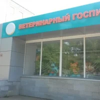 Ветеринарная клиника ВитаВет на улице Холмогорова Фото 2 на проекте Izhevsk.vetspravka.ru Ветеринарная клиника ВитаВет на улице Холмогорова Фото 2 на проекте Izhevsk.vetspravka.ru