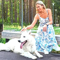 Школа дрессировки собак Akita Dog School Фото 2 на проекте Izhevsk.vetspravka.ru Школа дрессировки собак Akita Dog School Фото 2 на проекте Izhevsk.vetspravka.ru
